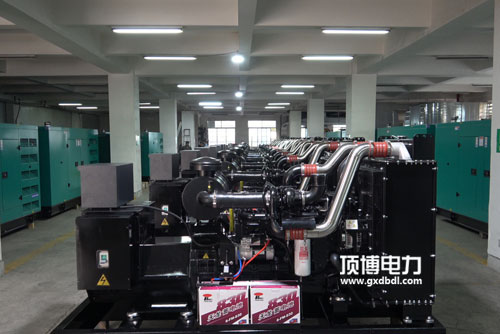 貴州長(cháng)盈房地產(chǎn)開(kāi)發(fā)有限公司采購400KW上海嘉柴發(fā)電機組